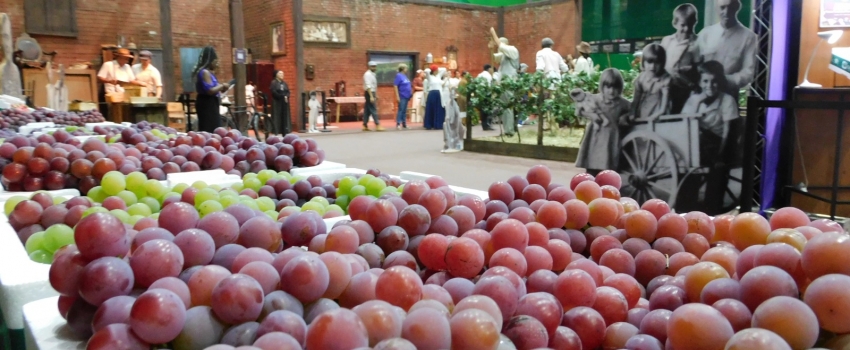 Secretaria de Agricultura na 39ª Festa da Uva e 10ª Expo Vinhos: tecnologia e sustentabilidade para a cadeia produtiva da região